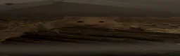 Hamster rodents for sale: Syrian hamster  - Advert 2