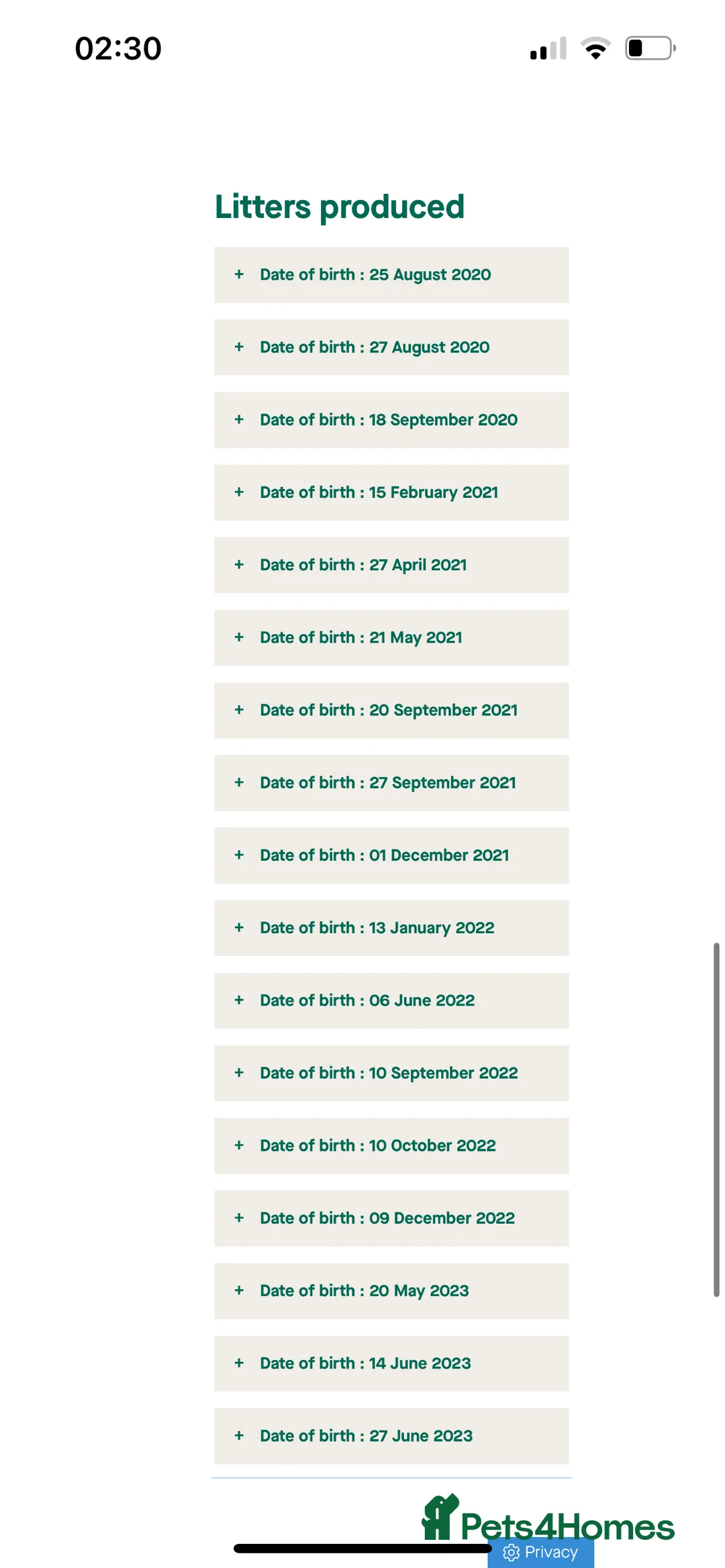 English Springer Spaniel dogs for stud: Working English Springer Spaniel Stud Health Test in Chelmsford - Advert 17