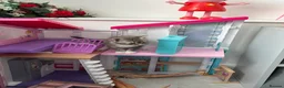 Mixed Breed cats for sale: 2 gorgeous kittens looking for their homes  - Advert 6
