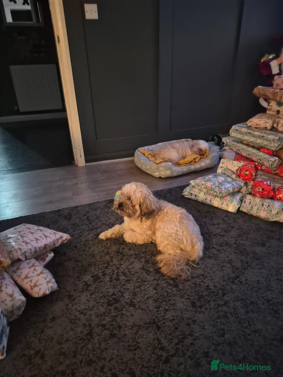 Gallery Image {{count}}