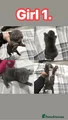 American Bully Puppy 4
