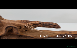 Gecko reptiles for sale: Beautiful baby crested geckos! - Image 11
