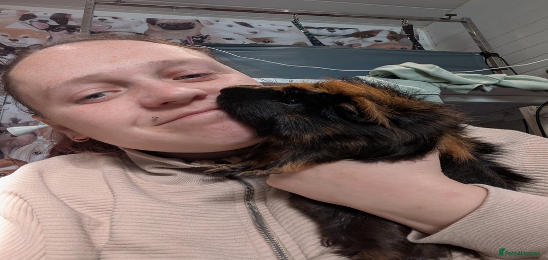 Gallery Image {{count}}