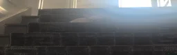 Sphynx cats for sale: I have two stunning kittens  - Advert 7
