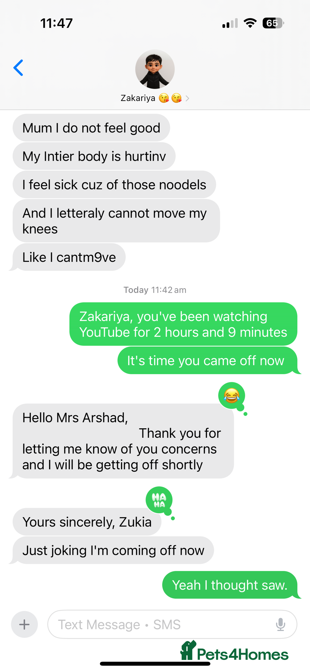 Mixed Breed cats for sale: Leo (black&white) Enzo (tabby ragdoll mix) - Advert 4