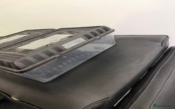 Leopard Gecko reptiles for sale: 4 leopard geckos  - Advert 6