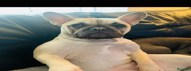 Nala