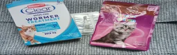 European cats for sale: Adorable kittens looking for forever home  in Cumnock - Advert 3