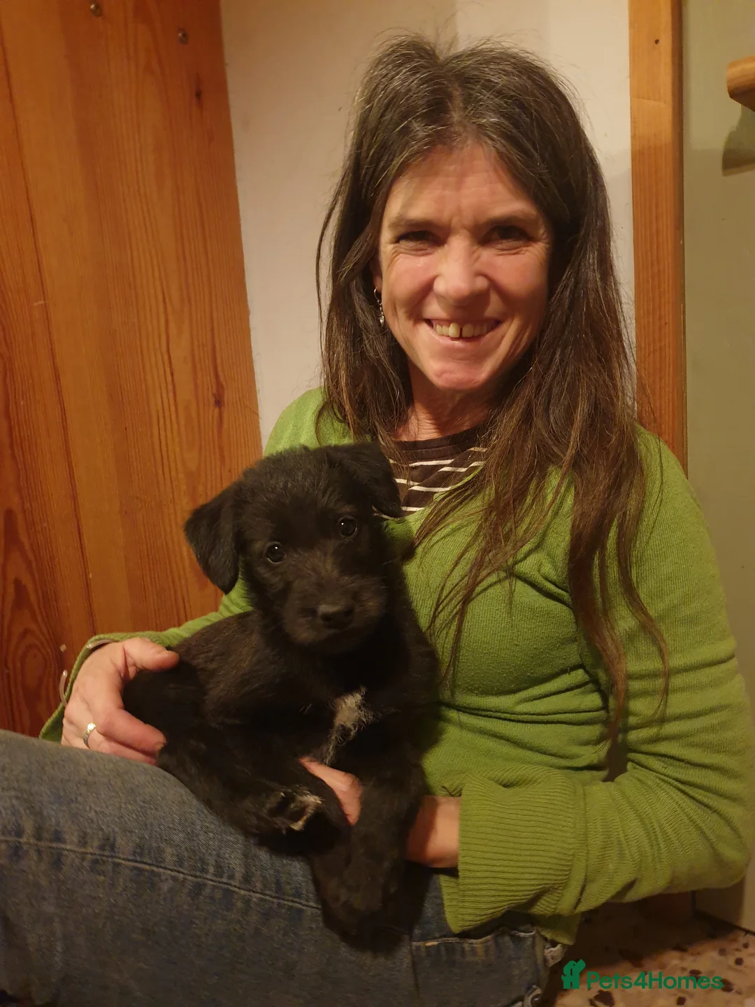 Gallery Image {{count}}