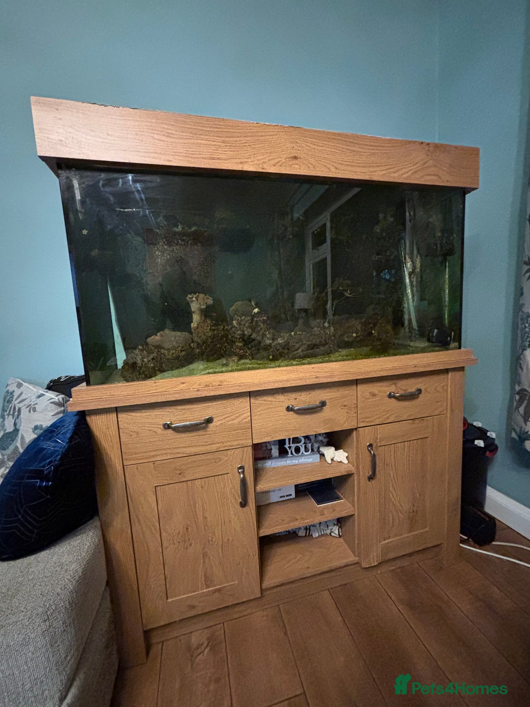 Other/Mixed Breed fish for sale: Marine Tank and Full Set Up  - Image 4