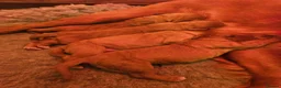 Cocker Spaniel dogs for sale: Beautiful Red Working Cocker Spaniel Puppies - Advert 1