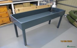 Tortoise reptiles for sale: Tortoise Table - Image 1