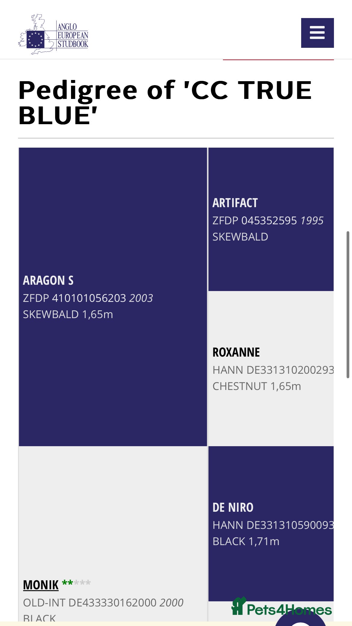 British Warmblood horses Sports horse and pony colts  - Advert 5