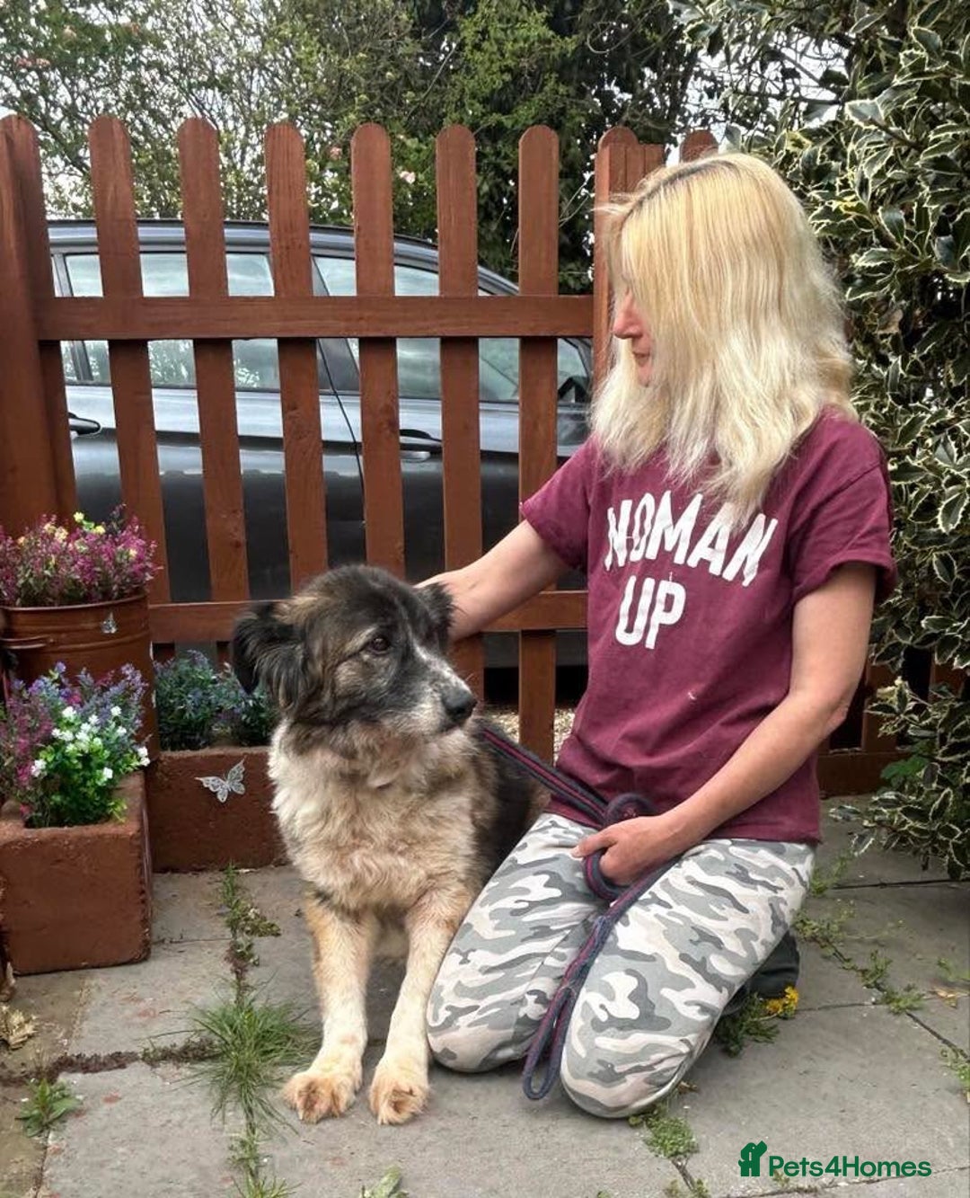 Mixed Breed dogs for adoption: Hilda - Norwich Norfolk  - Image 19