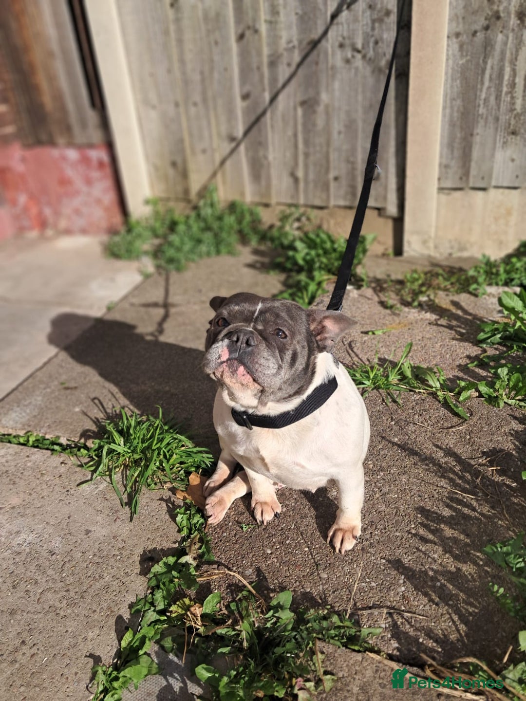 Gallery Image {{count}}