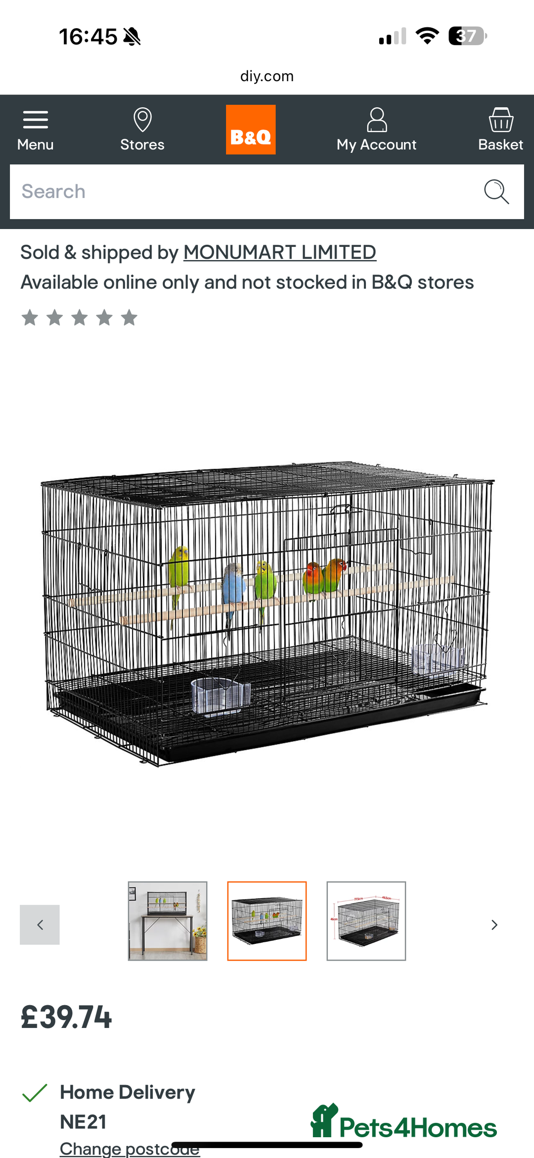 Budgerigars birds for sale: Pair of budgies  - Image 2