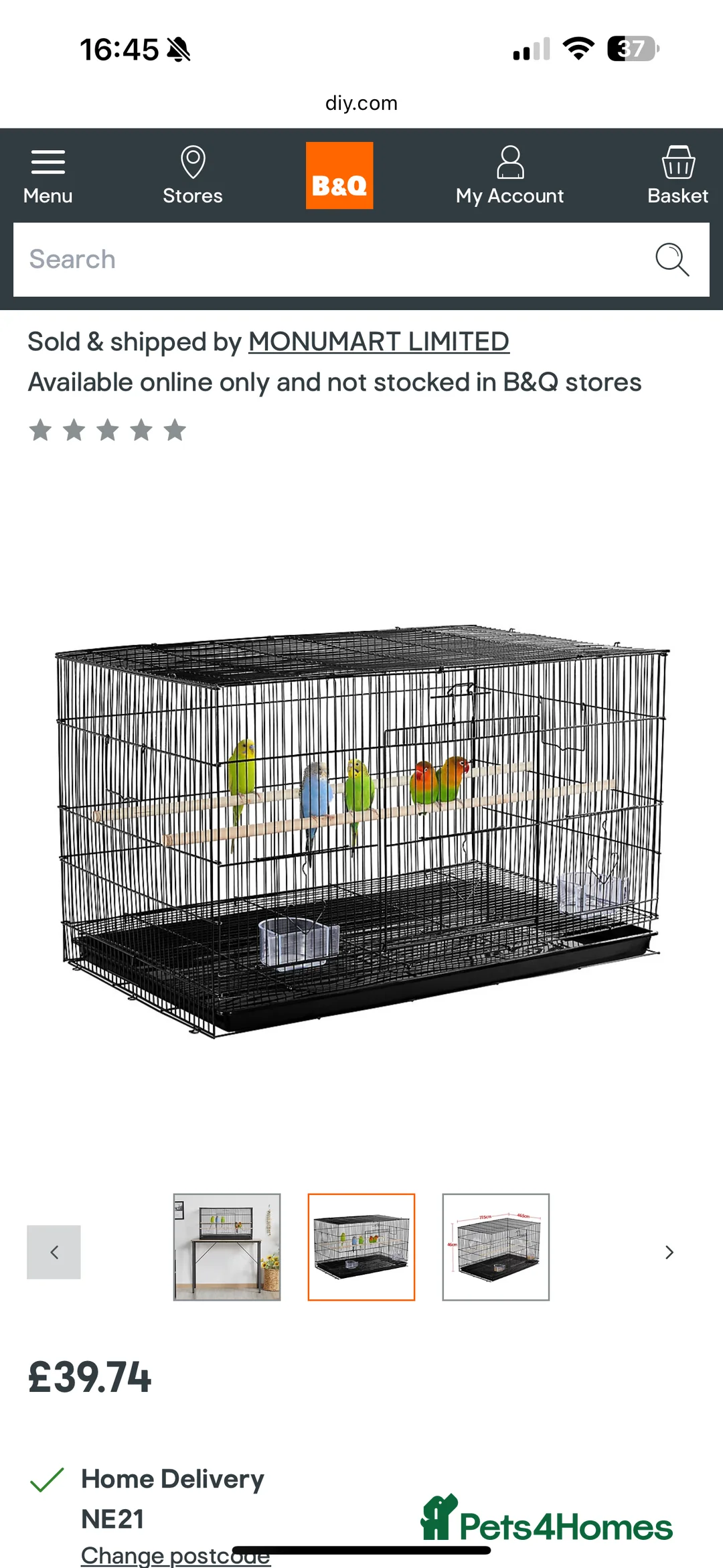 Budgerigars birds for sale: Pair of budgies  - Advert 3