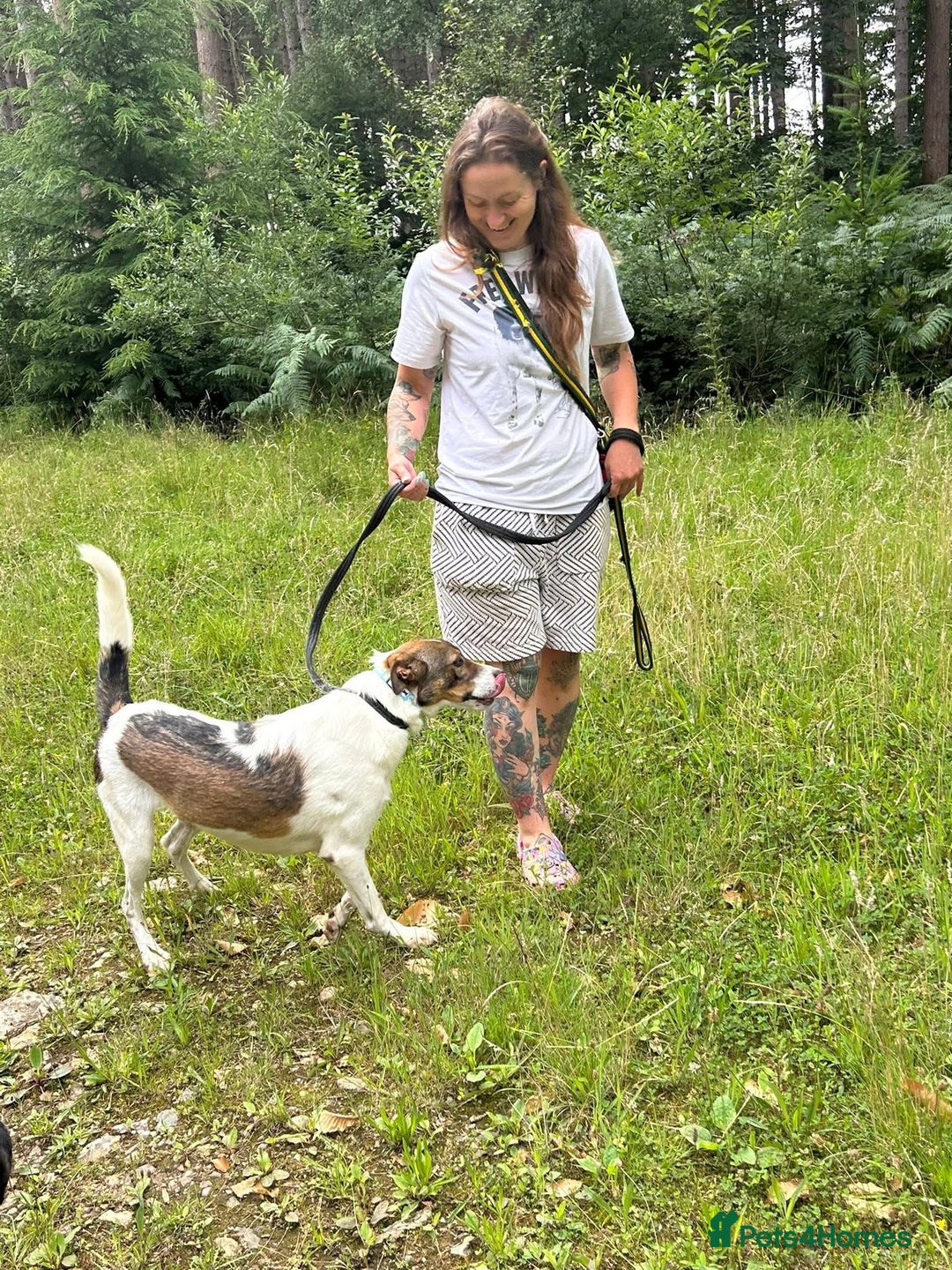 Mixed Breed dogs for adoption: Eddie - Norwich Norfolk  - Image 10