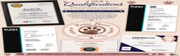 Cockapoo dogs for sale: Exceptional F1 Cockapoo Puppies in Leicester - Advert 10