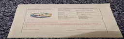 Tortoise reptiles for sale: Cb24 aldabra tortoise - Advert 3