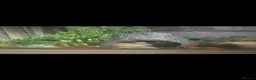 Python Snake reptiles for sale: 2 Python  - Advert 1