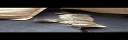 Mixed Breed cats for sale: Beautiful mixed breed boy 4 months old kitten in Manchester - Advert 3