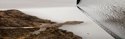 Gecko reptiles for sale: 🦎BABY MIXED CRESTED GECKOS AVAILABLE 🦎 - Advert 8