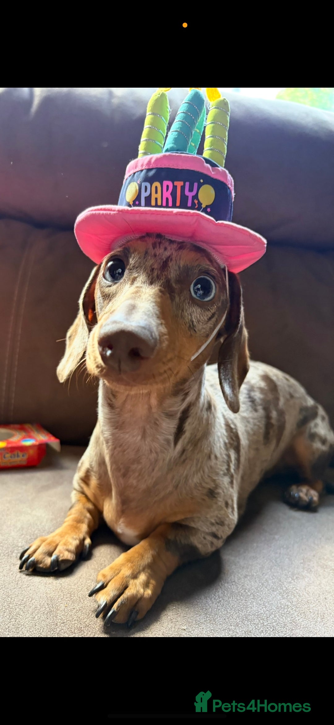 Gallery Image {{count}}