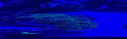 Other/Mixed Breed fish for sale: Full set up Marine fish tank - Advert 3