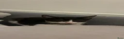Mixed Breed cats for sale: Kitten  in London - Advert 6