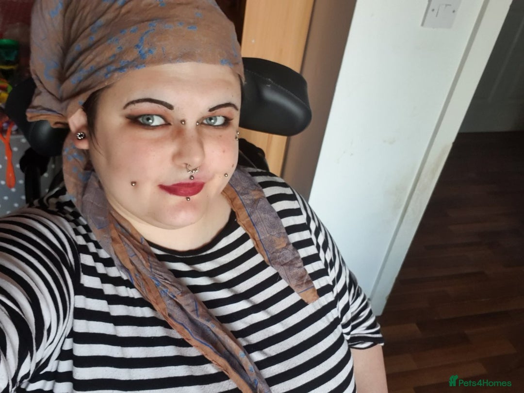 Gallery Image {{count}}