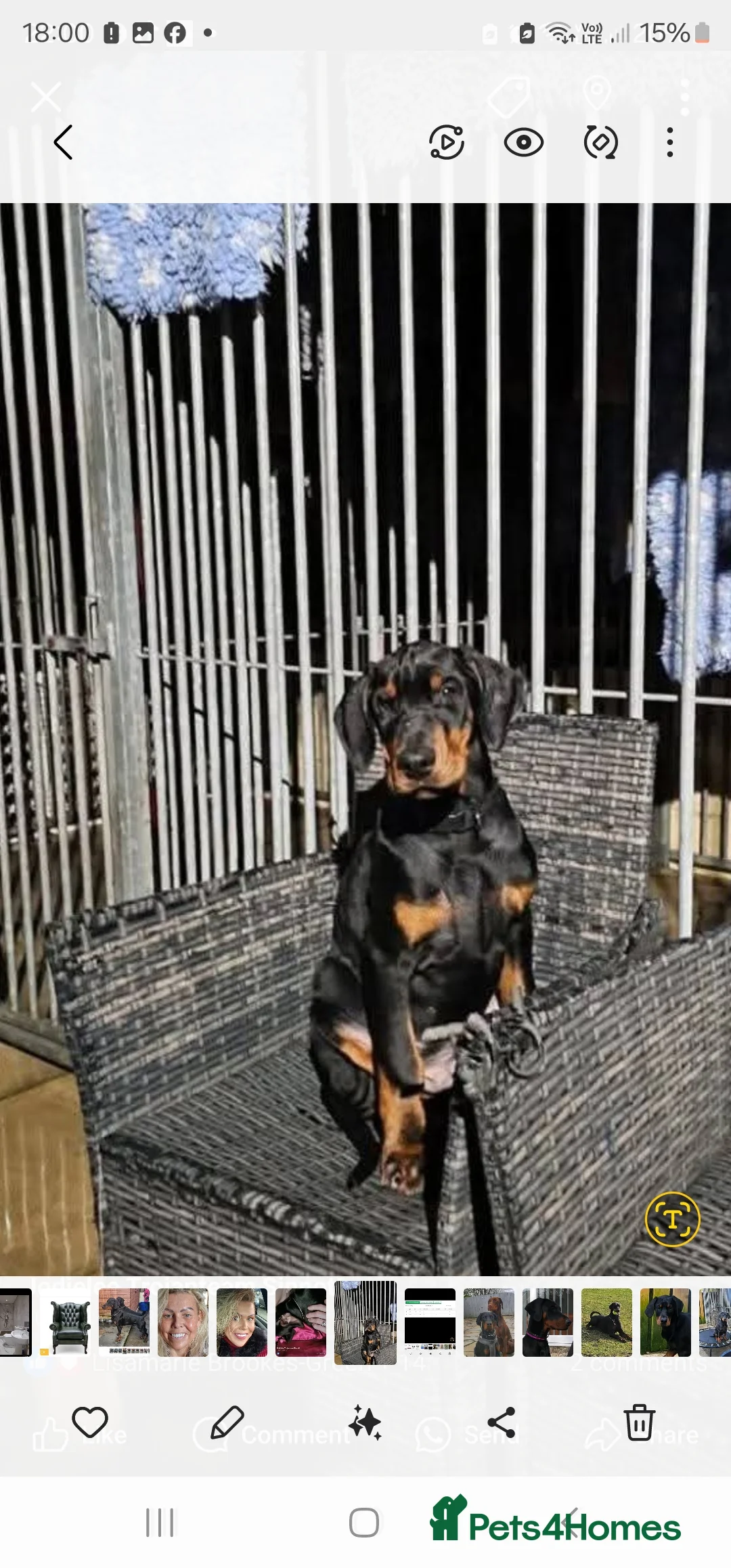 Gallery Image {{count}}