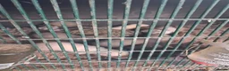 Ferret rodents for sale: Ferrets in Calne - Advert 5