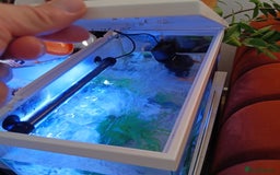 Other/Mixed Breed fish for sale: Fish with Filter and Tank - Image 2