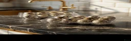 Quail poultry for sale: 12 fertile Jumbo coturnix Quail Hatching Eggs  in Worcester Park - Advert 2