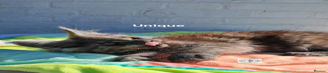 Unique 