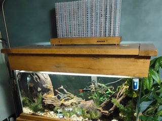 Other/Mixed Breed fish AquaOak 200 litre + Fish + accessories - Advert 1