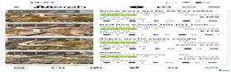 Snake reptiles for sale: Western Hognose  in Westgate-on-Sea - Advert 3