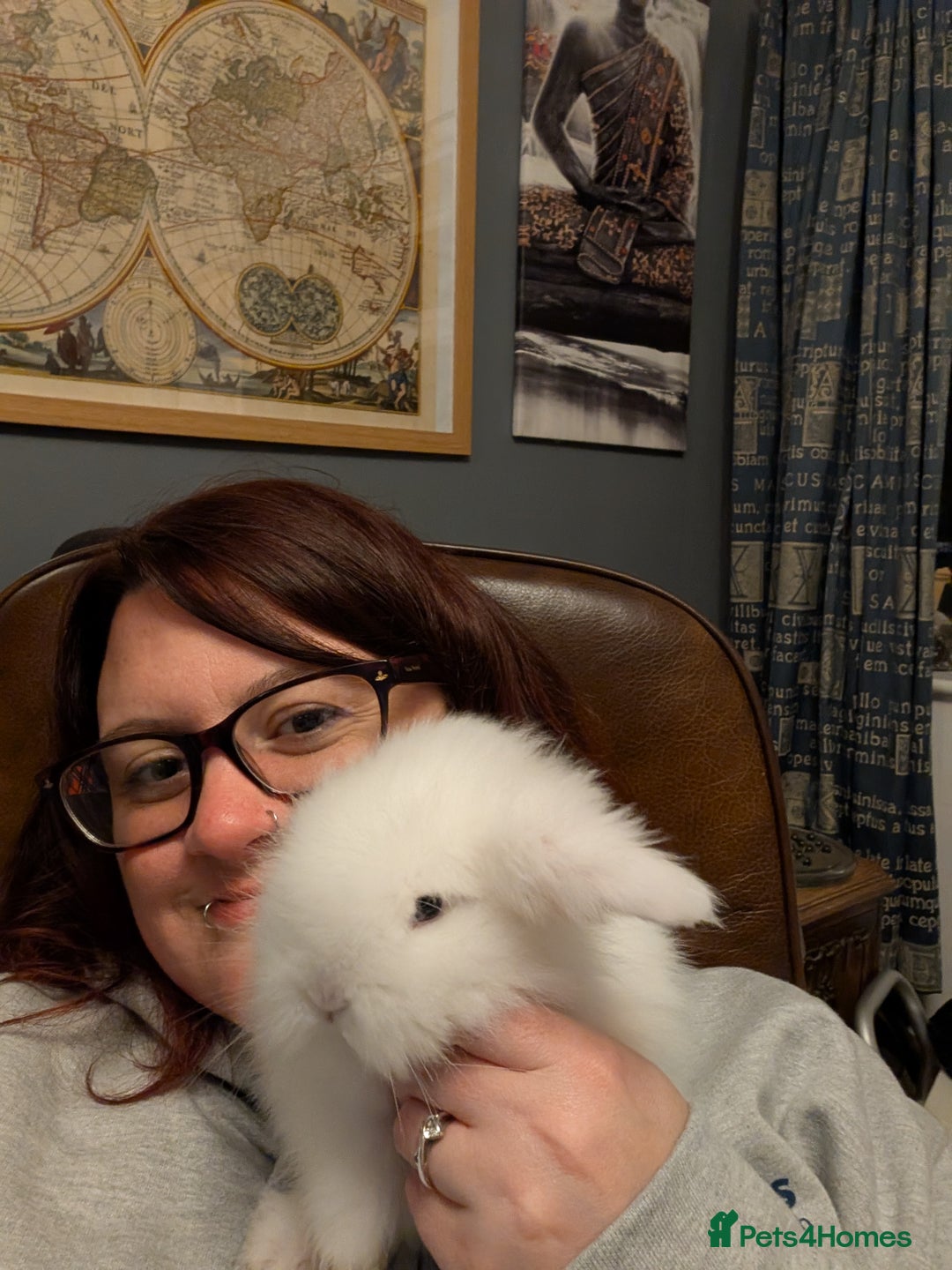 Lionhead rabbits for sale: 3 double mane bunnies - Image 3