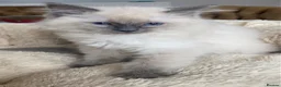 Ragdoll cats for sale: Ragdoll Kittens - Advert 6