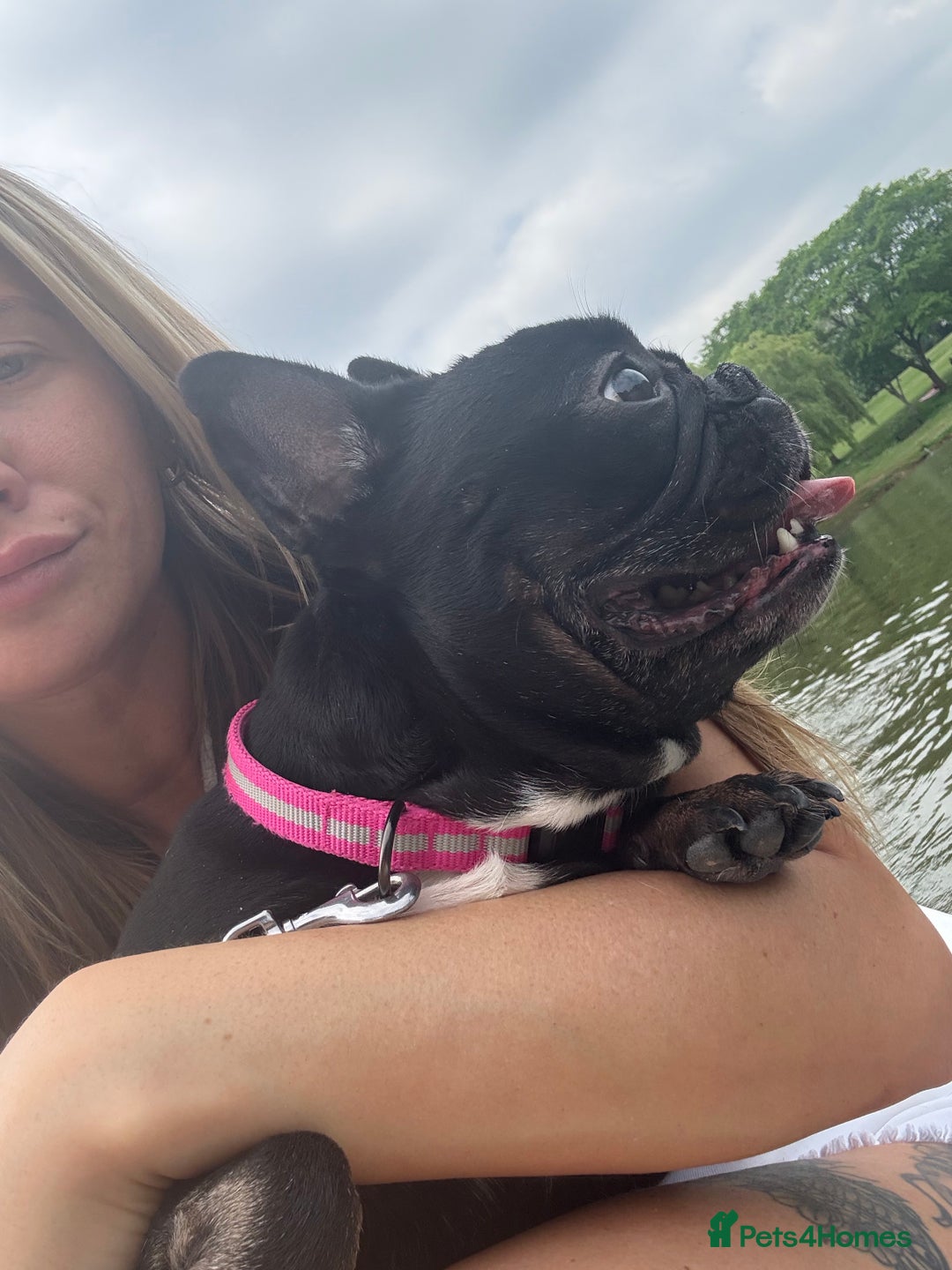 Gallery Image {{count}}