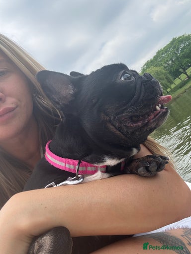 Gallery Image {{count}}