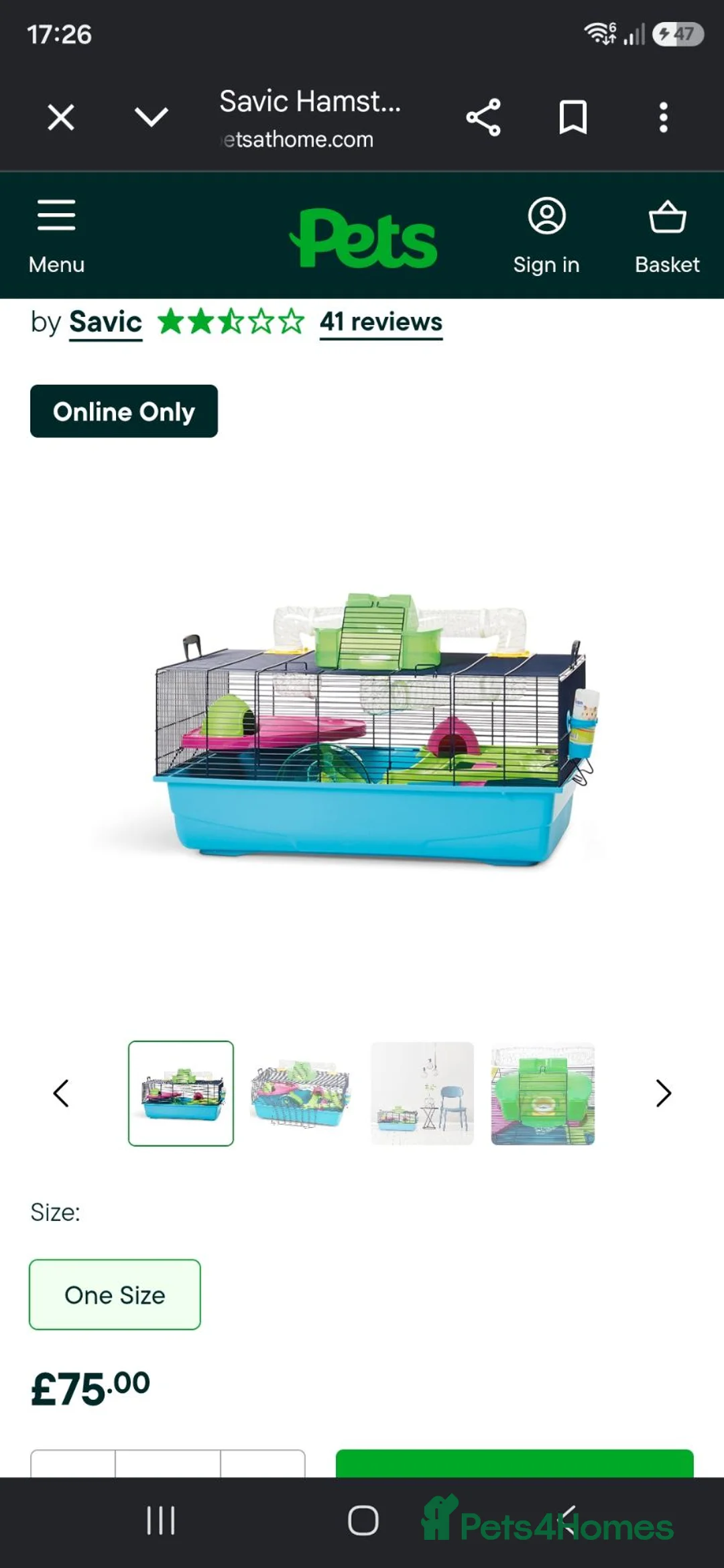 Hamster rodents for sale: Hamsters - Advert 2