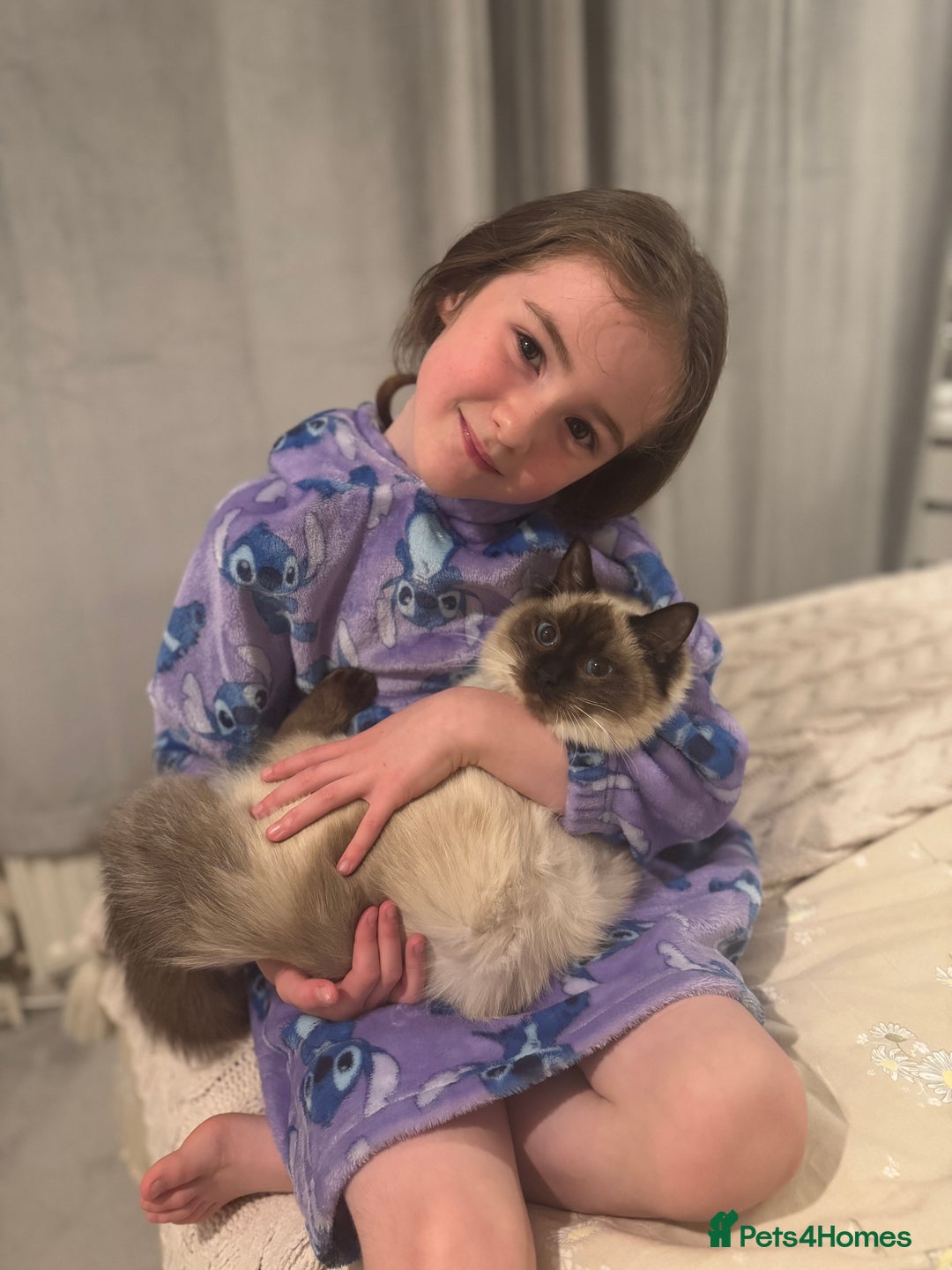 Ragdoll cats for sale: Beautiful Ragdoll kittens open to reasonable offer - Image 19