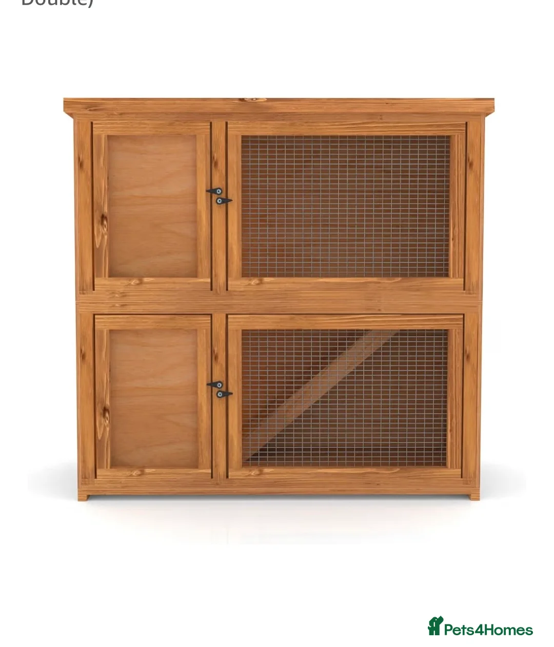 Mini Lop rabbits for sale: Black mini lop male for sale in Hassocks - Advert 2