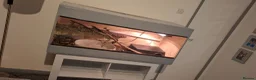 Boa Snake reptiles for sale: Boa constrictor  in Rossendale - Advert 2