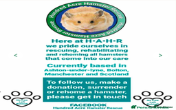 Hamster rodents for sale: Female Syrian Hamster for Adoption  - Image 6