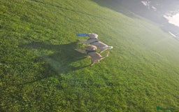 Cockapoo dogs for sale: Cockerpoo  - Image 21