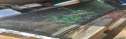 Leopard Gecko reptiles for sale: Leopard gecko lizards - Advert 4