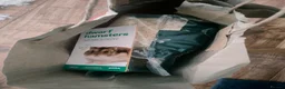 Hamster rodents for sale: Female Russian hamster for sale with full set up in Stoke-on-Trent - Advert 7